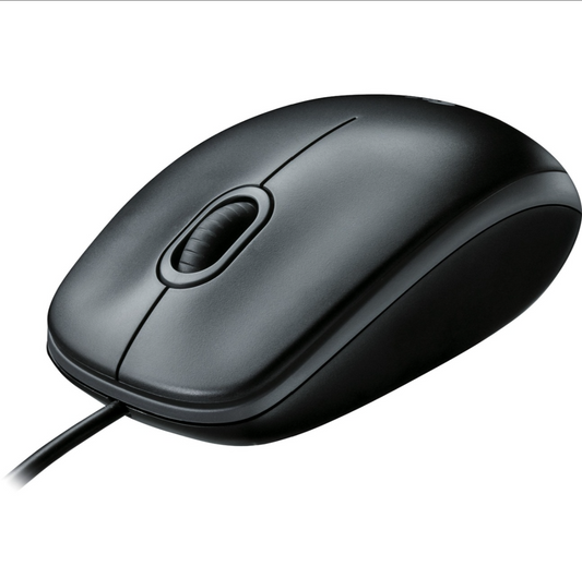 Logitech B100 USB Type-A Noir